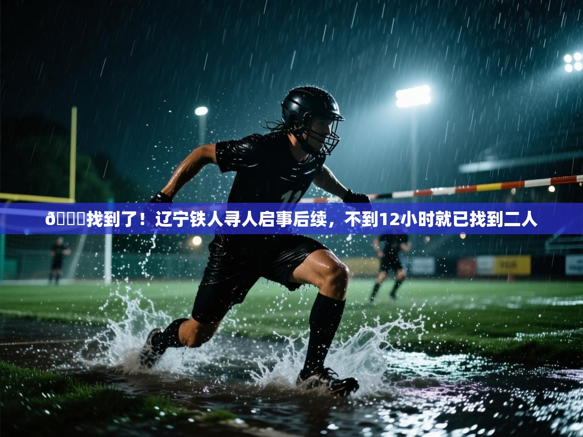 👀找到了!辽宁铁人寻人启事后续,不到12小时就已找到二人 第2张